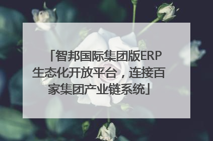 智邦国际集团版ERP生态化开放平台，连接百家集团产业链系统