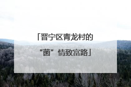晋宁区青龙村的“菌”情致富路