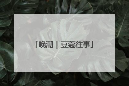 晚潮｜豆蔻往事