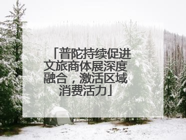 普陀持续促进文旅商体展深度融合，激活区域消费活力