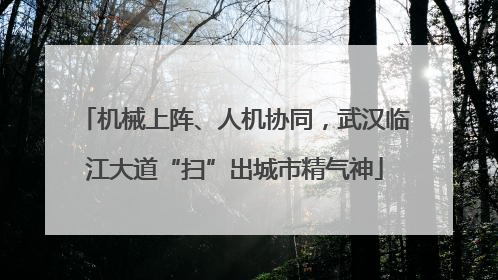 机械上阵、人机协同，武汉临江大道“扫”出城市精气神