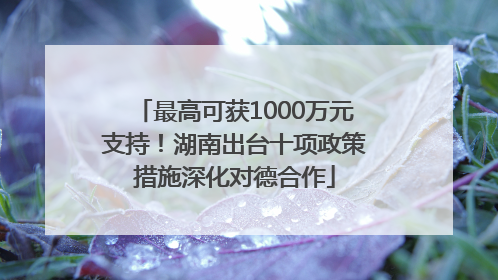 最高可获1000万元支持！湖南出台十项政策措施深化对德合作