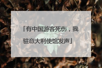 有中国游客死伤，我驻意大利使馆发声