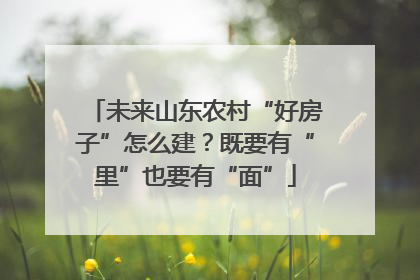 未来山东农村“好房子”怎么建？既要有“里”也要有“面”