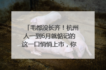 毛都没长齐！杭州人一到6月就惦记的这一口悄悄上市，你打算尝鲜吗？