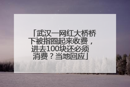 武汉一网红大桥桥下被指圈起来收费，进去100块还必须消费？当地回应