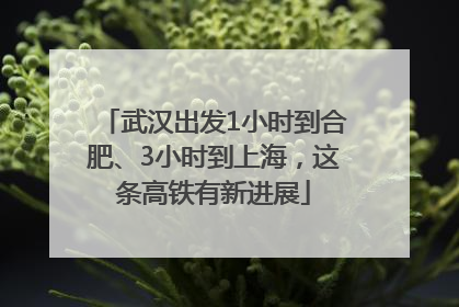 武汉出发1小时到合肥、3小时到上海，这条高铁有新进展