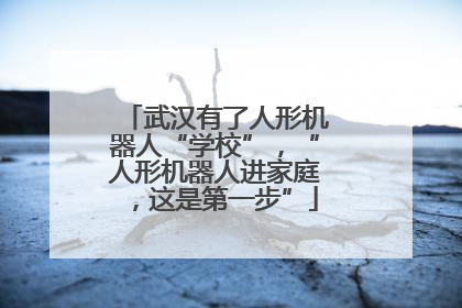 武汉有了人形机器人“学校”，“人形机器人进家庭，这是第一步”