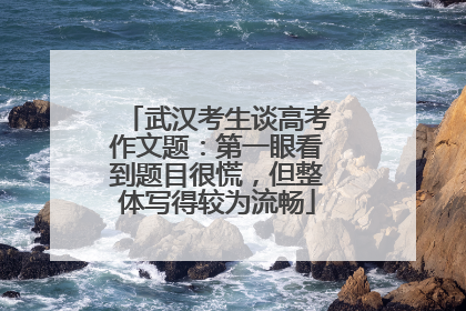 武汉考生谈高考作文题：第一眼看到题目很慌，但整体写得较为流畅