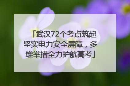武汉72个考点筑起坚实电力安全屏障，多维举措全力护航高考