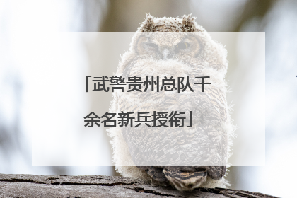 武警贵州总队千余名新兵授衔