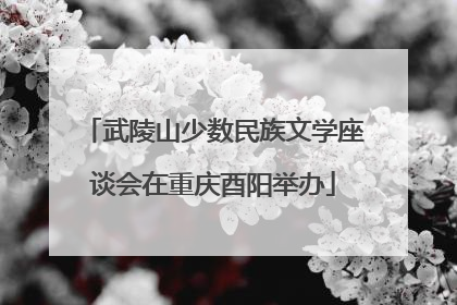 武陵山少数民族文学座谈会在重庆酉阳举办