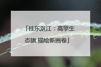 桂东沤江：高擎生态旗 描绘新画卷