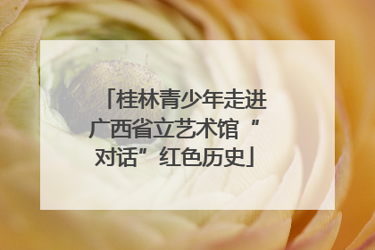 桂林青少年走进广西省立艺术馆“对话”红色历史