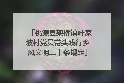 桃源县架桥镇叶家坡村党员带头践行乡风文明二十条规定