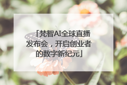 梵智AI全球直播发布会，开启创业者的数字新纪元