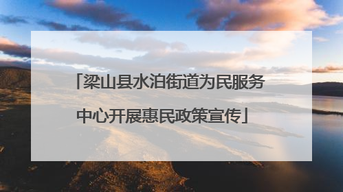 梁山县水泊街道为民服务中心开展惠民政策宣传