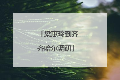 梁惠玲到齐齐哈尔调研