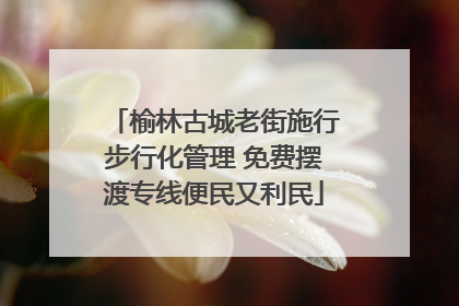 榆林古城老街施行步行化管理 免费摆渡专线便民又利民