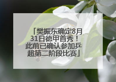 樊振东确定8月31日德甲首秀！此前已确认参加乒超第二阶段比赛