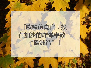 欧盟前高官：投在加沙的炸弹半数“欧洲造”