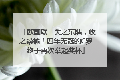 欧国联｜失之东隅，收之桑榆！四年无冠的C罗终于再次举起奖杯