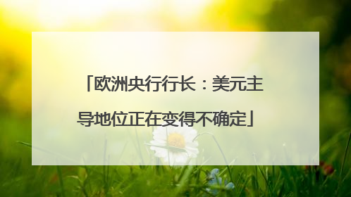 欧洲央行行长：美元主导地位正在变得不确定