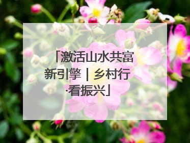 激活山水共富新引擎｜乡村行·看振兴