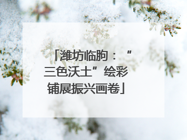 潍坊临朐：“三色沃土”绘彩铺展振兴画卷