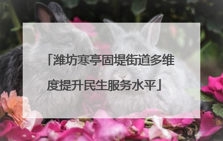 潍坊寒亭固堤街道多维度提升民生服务水平