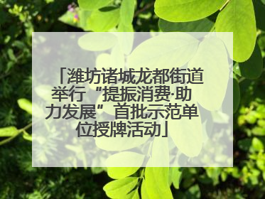 潍坊诸城龙都街道举行“提振消费·助力发展”首批示范单位授牌活动