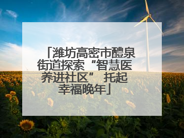 潍坊高密市醴泉街道探索“智慧医养进社区” 托起幸福晚年