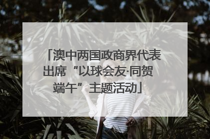 澳中两国政商界代表出席“以球会友·同贺端午”主题活动