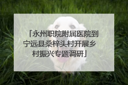 永州职院附属医院到宁远县桑梓头村开展乡村振兴专题调研