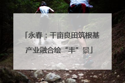 永春：千亩良田筑根基 产业融合绘“丰”景