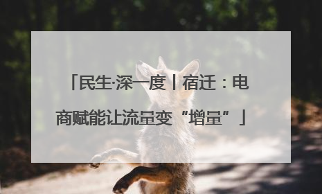民生·深一度丨宿迁：电商赋能让流量变“增量”