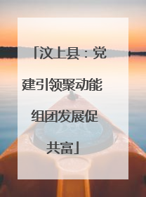 汶上县：党建引领聚动能 组团发展促共富