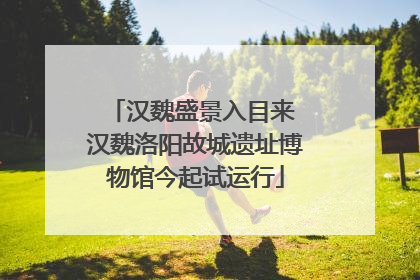 汉魏盛景入目来 汉魏洛阳故城遗址博物馆今起试运行