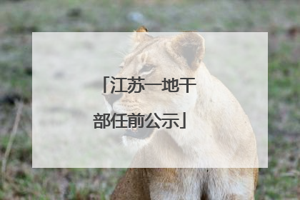 江苏一地干部任前公示