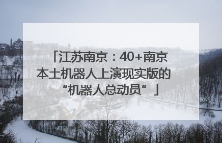 江苏南京：40+南京本土机器人上演现实版的“机器人总动员”