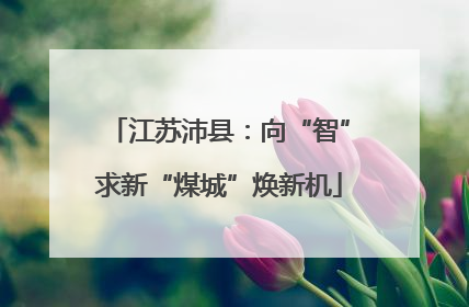 江苏沛县：向“智”求新“煤城”焕新机