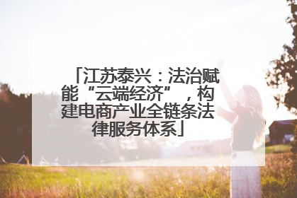 江苏泰兴：法治赋能“云端经济”，构建电商产业全链条法律服务体系