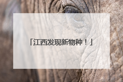 江西发现新物种！