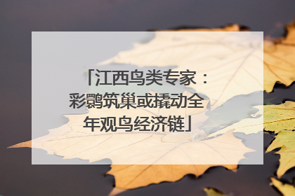 江西鸟类专家：彩鹮筑巢或撬动全年观鸟经济链