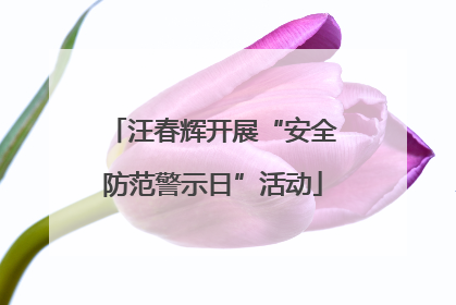 汪春辉开展“安全防范警示日”活动