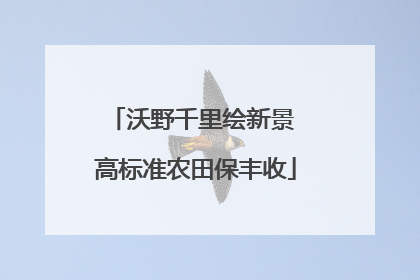 沃野千里绘新景 高标准农田保丰收