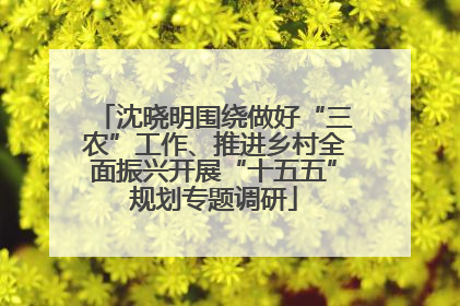 沈晓明围绕做好“三农”工作、推进乡村全面振兴开展“十五五”规划专题调研