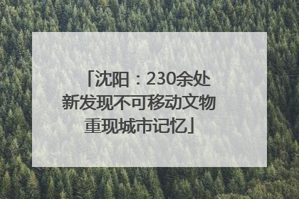 沈阳：230余处新发现不可移动文物重现城市记忆