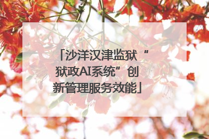 沙洋汉津监狱“狱政AI系统”创新管理服务效能