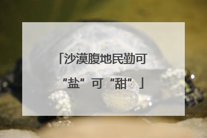 沙漠腹地民勤可“盐”可“甜”